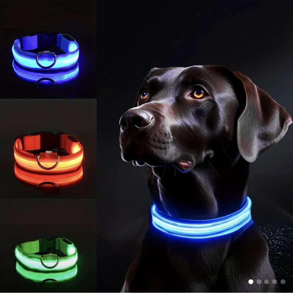 Led dog collars green adjustable dog accessories